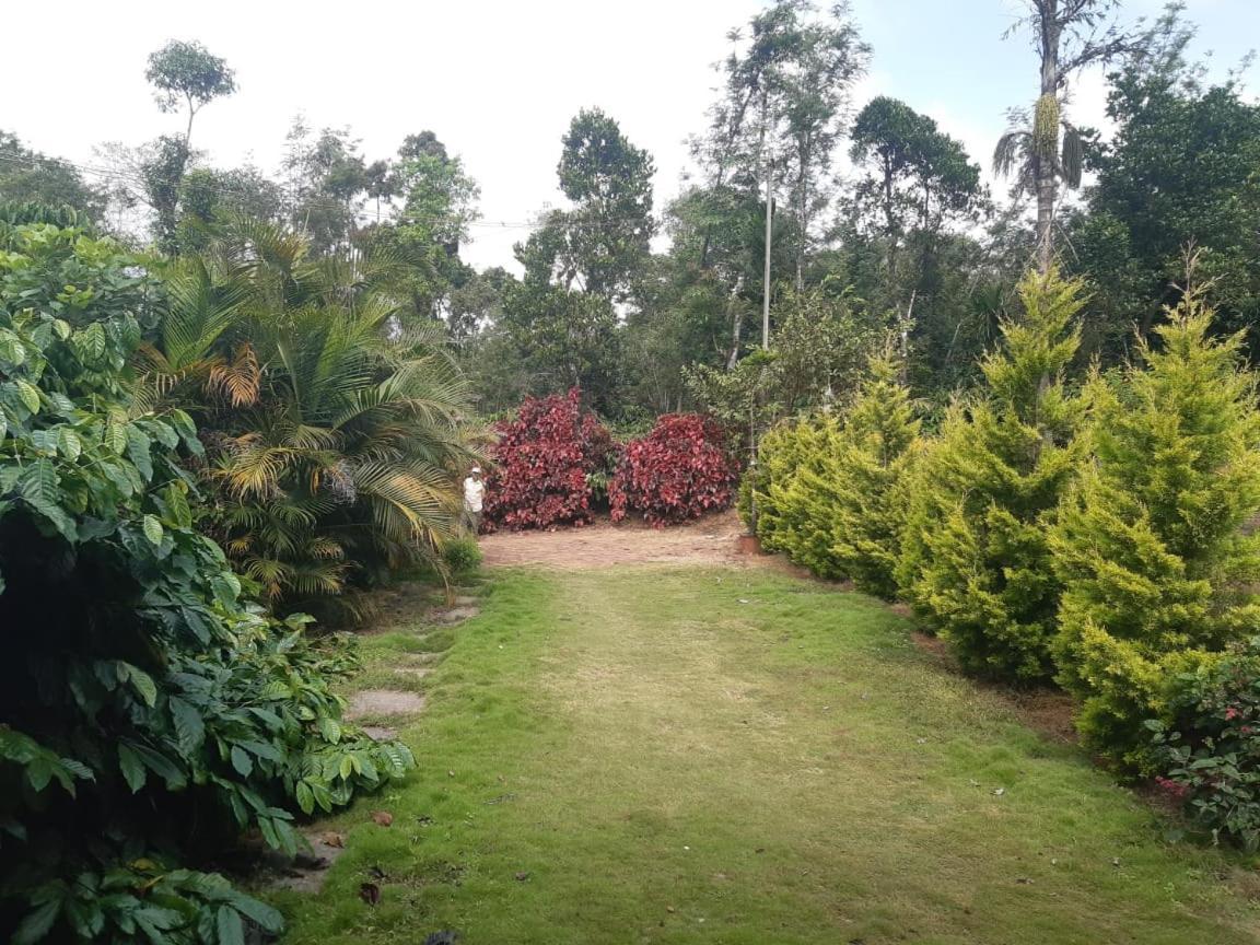Athena Homestay Somvarpet Ngoại thất bức ảnh