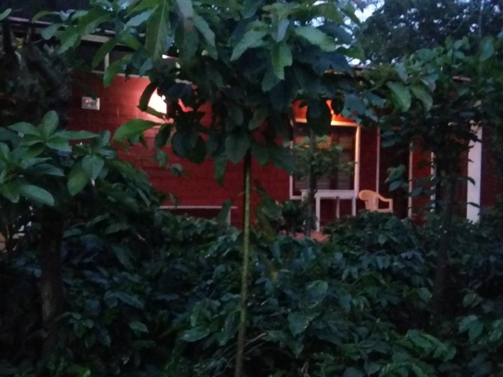 Athena Homestay Somvarpet Ngoại thất bức ảnh