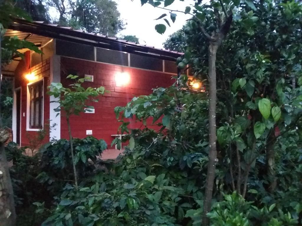 Athena Homestay Somvarpet Ngoại thất bức ảnh