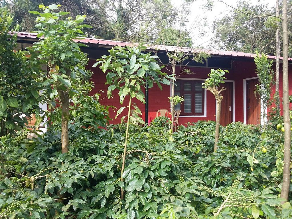 Athena Homestay Somvarpet Ngoại thất bức ảnh